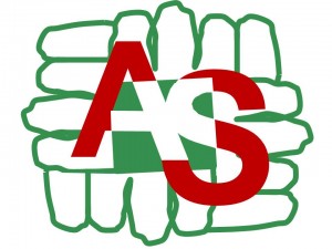 Logo AvSolid V6